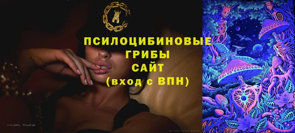 синтетический гашиш Богородск