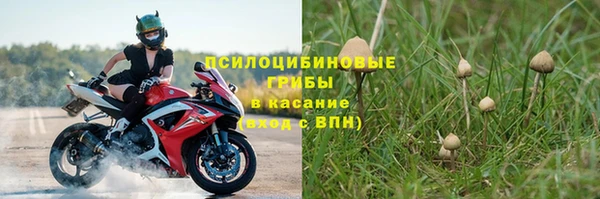 синтетический гашиш Богородск